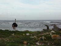 Ja, wo sind denn die andern ? &ndash; &copy; Elisabeth Fox-Maerki (Eberhardt TRAVEL)