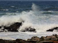Tsistikamma National Park &ndash; &copy; Elisabeth Fox-Maerki (Eberhardt TRAVEL)