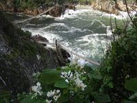Die wilden Haengebruecken &ndash; &copy; Elisabeth Fox-Maerki (Eberhardt TRAVEL)