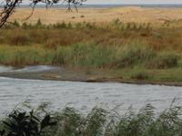 gleich 2 Krokodile &ndash; &copy; Elisabeth Fox-Maerki (Eberhardt TRAVEL)