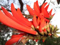Rot &ndash; &copy; Elisabeth Fox-Maerki (Eberhardt TRAVEL)