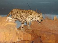 im Museum &ndash; &copy; Elisabeth Fox-Maerki (Eberhardt TRAVEL)