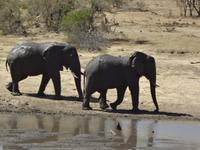 wie waers mit einem Bad ?  &ndash; &copy; Elisabeth Fox-Maerki (Eberhardt TRAVEL)