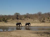 komm wir gehe da, wo's tiefer ist  &ndash; &copy; Elisabeth Fox-Maerki (Eberhardt TRAVEL)