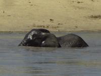ahh so schoen &ndash; &copy; Elisabeth Fox-Maerki (Eberhardt TRAVEL)