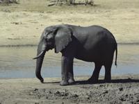 Badetuch bitte  &ndash; &copy; Elisabeth Fox-Maerki (Eberhardt TRAVEL)