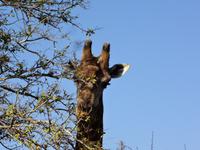 Hallo &ndash; &copy; Elisabeth Fox-Maerki (Eberhardt TRAVEL)