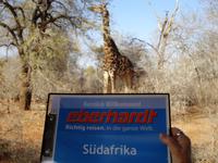 Wir reisen richtig !  &ndash; &copy; Elisabeth Fox-Maerki (Eberhardt TRAVEL)