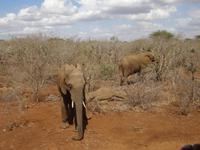 Eltern bewachen das schlafende Baby &ndash; &copy; Elisabeth Fox-Maerki (Eberhardt TRAVEL)