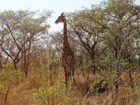 &copy; Elisabeth Fox-Maerki (Eberhardt TRAVEL)