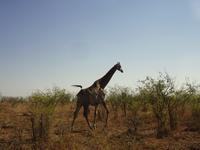 &copy; Elisabeth Fox-Maerki (Eberhardt TRAVEL)