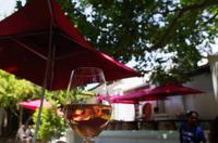 Weingut Blaauwklippen &ndash; &copy; Annett Müller (Eberhardt TRAVEL)