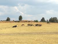 Cradle Moon Lakeside Lodge &ndash; &copy; Carina Henn (Eberhardt TRAVEL)