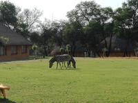 Cradle Moon Lakeside Lodge &ndash; &copy; Carina Henn (Eberhardt TRAVEL)