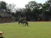 Cradle Moon Lakeside Lodge &ndash; &copy; Carina Henn (Eberhardt TRAVEL)