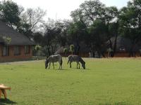Cradle Moon Lakeside Lodge &ndash; &copy; Carina Henn (Eberhardt TRAVEL)