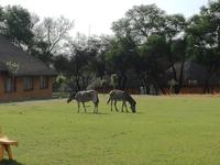 Cradle Moon Lakeside Lodge &ndash; &copy; Carina Henn (Eberhardt TRAVEL)
