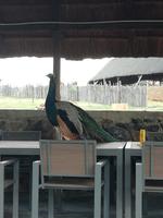 Cradle Moon Lakeside Lodge &ndash; &copy; Carina Henn (Eberhardt TRAVEL)