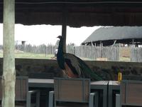 Cradle Moon Lakeside Lodge &ndash; &copy; Carina Henn (Eberhardt TRAVEL)