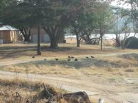Cradle Moon Lakeside Lodge &ndash; &copy; Carina Henn (Eberhardt TRAVEL)