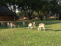 Cradle Moon Lakeside Lodge &ndash; &copy; Carina Henn (Eberhardt TRAVEL)