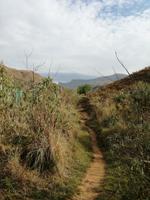 Drakensberge &ndash; &copy; Carina Henn (Eberhardt TRAVEL)