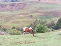 Drakensberge &ndash; &copy; Carina Henn (Eberhardt TRAVEL)