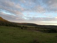 Kariega Wildreservat &ndash; &copy; Carina Henn (Eberhardt TRAVEL)