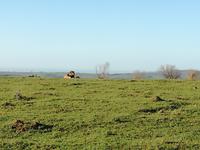 Kariega Wildreservat &ndash; &copy; Carina Henn (Eberhardt TRAVEL)
