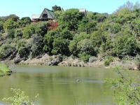 Kariega Wildreservat &ndash; &copy; Carina Henn (Eberhardt TRAVEL)