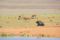 Alzu Rastplatz mit Tierbeoachtungen-eine super Geschäftsidee &ndash; &copy; Susanne Schirmann (Eberhardt TRAVEL)