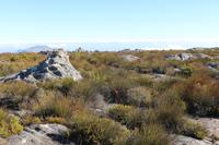 13 Aussicht vom Tafelberg &ndash; &copy; Marianne Förster (Eberhardt TRAVEL)