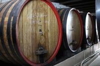 120 Weingut Blaauwklippen &ndash; &copy; Marianne Förster (Eberhardt TRAVEL)