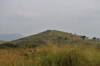 297 Safari im Hluhluwe-Umfolozi Nationalpark &ndash; &copy; Marianne Förster (Eberhardt TRAVEL)