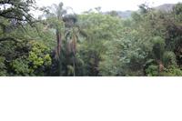 351 Mantenga Lodge in Swaziland &ndash; &copy; Marianne Förster (Eberhardt TRAVEL)