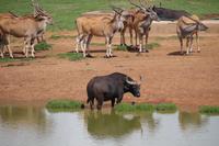 594 Rasthof Alzu &ndash; &copy; Marianne Förster (Eberhardt TRAVEL)