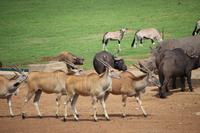 596 Rasthof Alzu &ndash; &copy; Marianne Förster (Eberhardt TRAVEL)