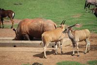 597 Rasthof Alzu &ndash; &copy; Marianne Förster (Eberhardt TRAVEL)