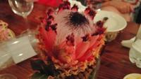 King Protea &ndash; &copy; Patrick Schneider (Eberhardt TRAVEL)