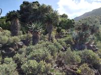 IMG_20181229_162627 &ndash; &copy; Philip Seidel (Eberhardt TRAVEL)