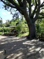 IMG_20181229_163016 &ndash; &copy; Philip Seidel (Eberhardt TRAVEL)