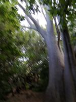 IMG_20181229_165205 &ndash; &copy; Philip Seidel (Eberhardt TRAVEL)