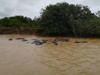IMG_20190104_115125 &ndash; &copy; Philip Seidel (Eberhardt TRAVEL)