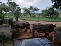 IMG_20190105_162924 &ndash; &copy; Philip Seidel (Eberhardt TRAVEL)
