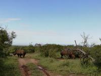 IMG_20190106_071155 &ndash; &copy; Philip Seidel (Eberhardt TRAVEL)
