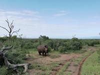 IMG_20190106_071348 &ndash; &copy; Philip Seidel (Eberhardt TRAVEL)