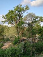 IMG_20190107_180552 &ndash; &copy; Philip Seidel (Eberhardt TRAVEL)