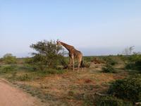 IMG_20190108_061459 &ndash; &copy; Philip Seidel (Eberhardt TRAVEL)