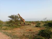 IMG_20190108_061606 &ndash; &copy; Philip Seidel (Eberhardt TRAVEL)