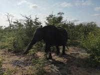 IMG_20190108_074108 &ndash; &copy; Philip Seidel (Eberhardt TRAVEL)